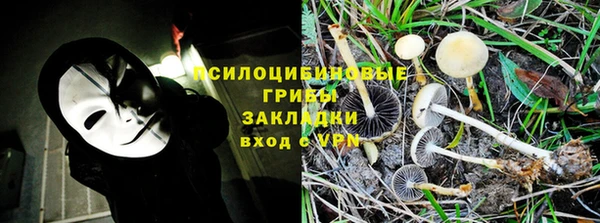 скорость Алзамай