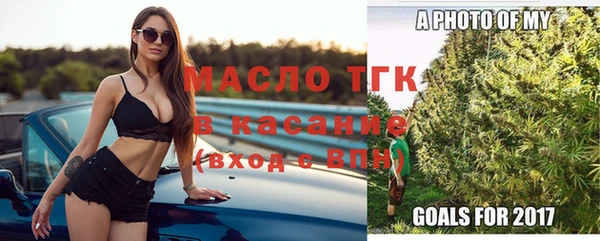 хмурый Абаза