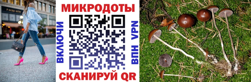 Псилоцибиновые грибы мухоморы  наркошоп  Вилючинск 