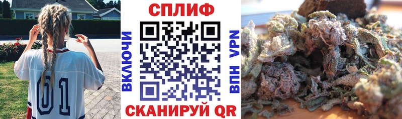 магазин    Вилючинск  Каннабис Amnesia 